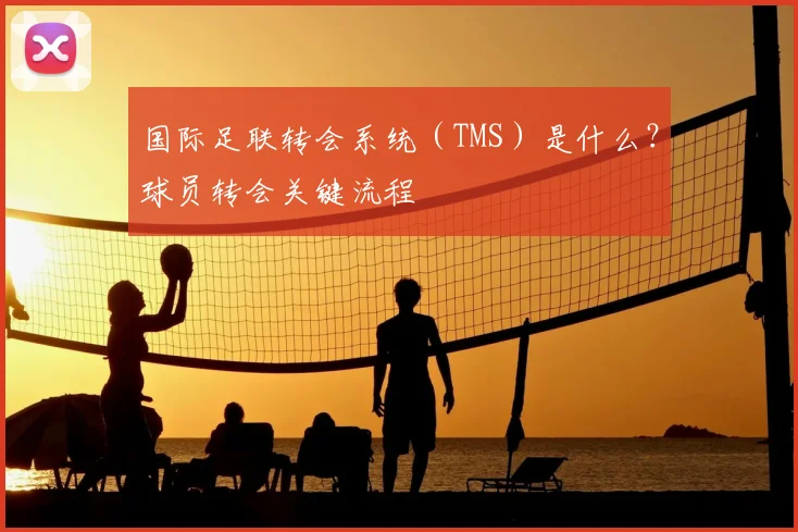 国际足联转会系统（TMS）是什么？球员转会关键流程
