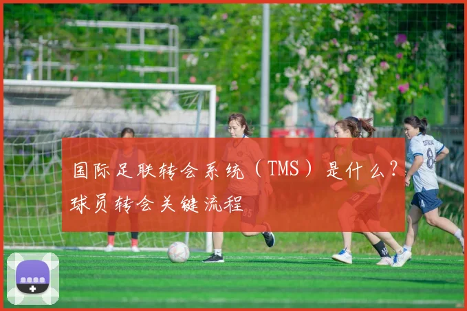 国际足联转会系统(TMS)是什么?球员转会关键流程